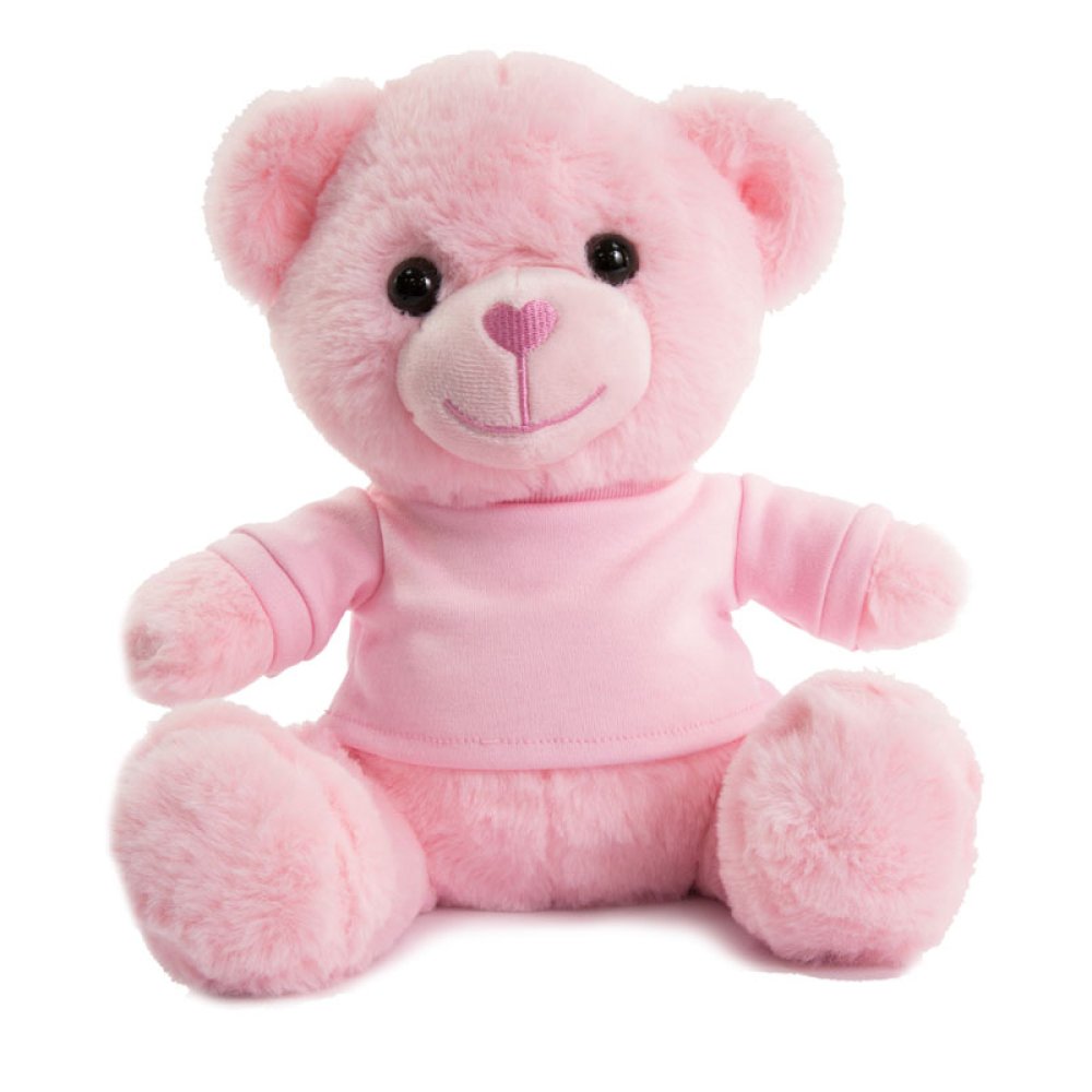 Teddy Bear with T-Shirt Multiple Colours